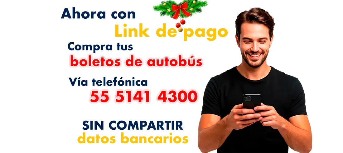 omnibus de méxico boleto de autobus link de pago