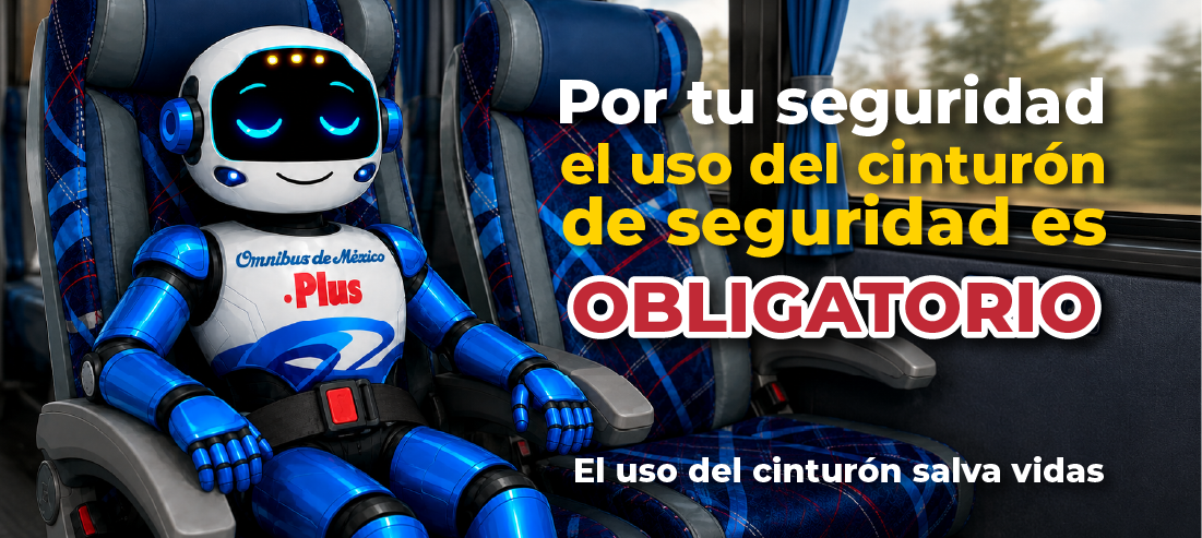 omnibus de mexico cinturon de seguridad