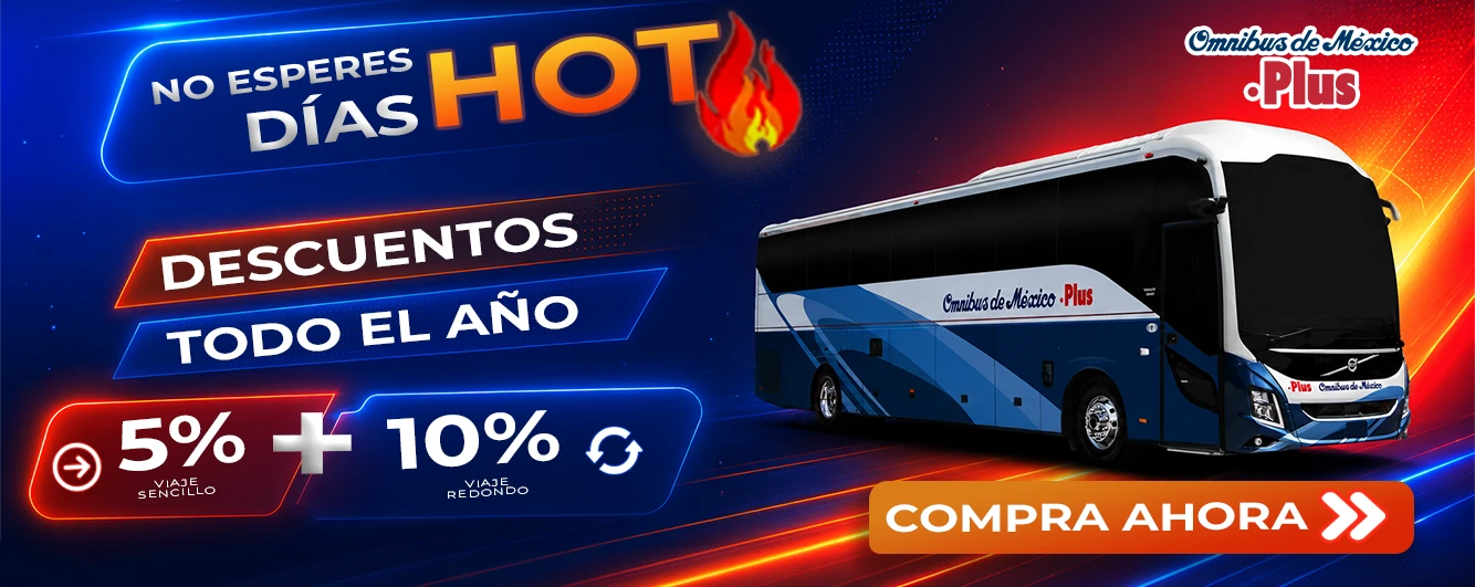 omnibus de mexico hotsale 2026