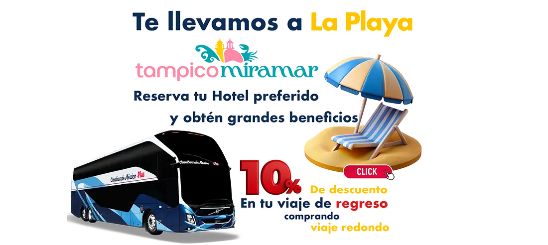 omnibus de mexico te lleva a playa miramar reserva tu hotel y obten grandes beneficios