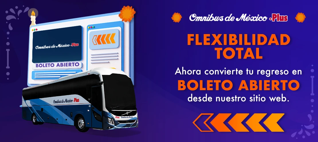 omnibus de méxico boleto de autobus link de pago