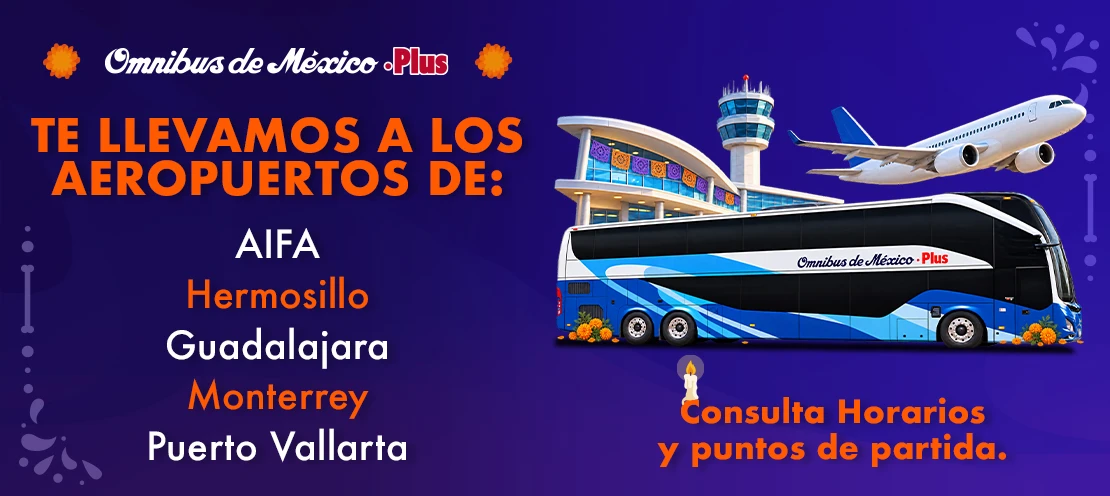 boleto de autobus al aeropuerto de monterrey guadalajara puerto vallarta y hermosillo