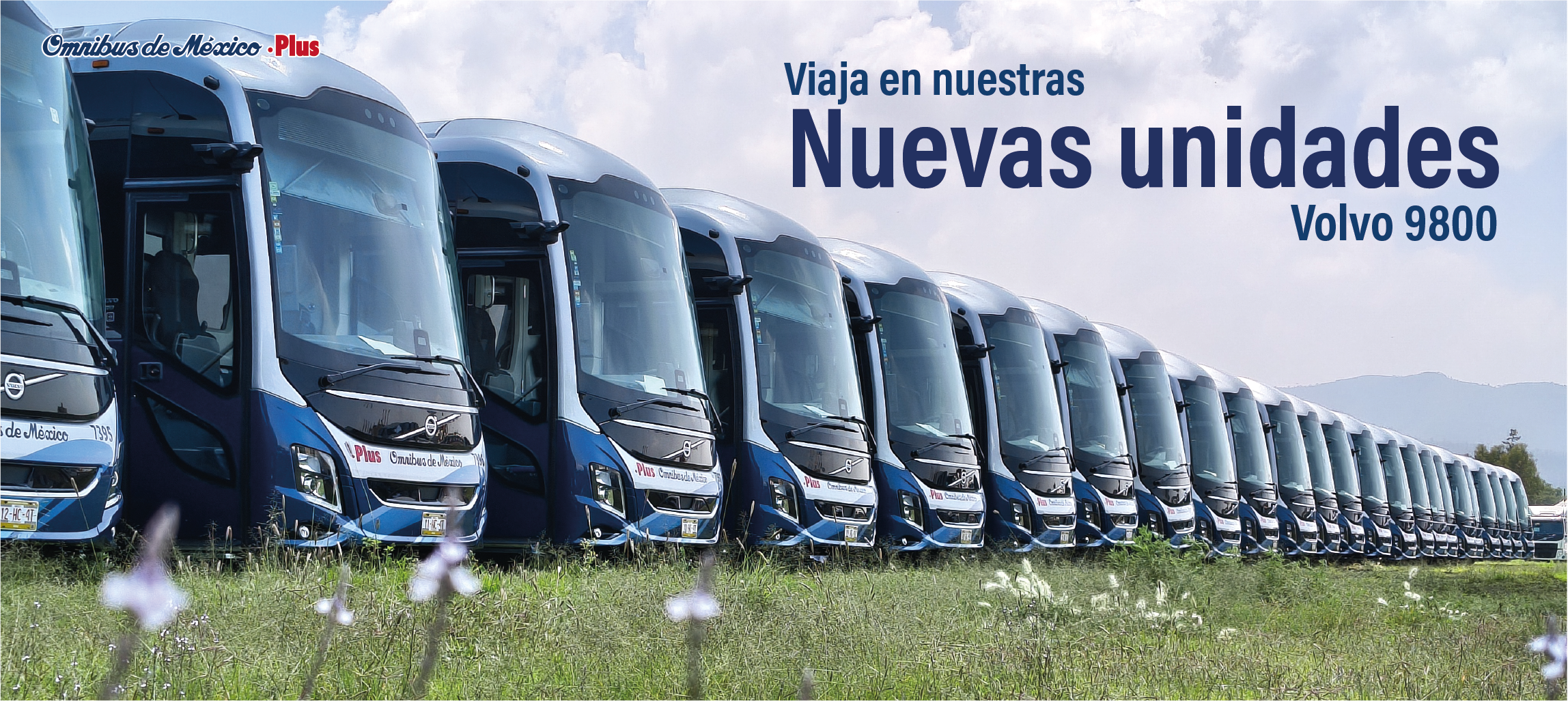 omnibus de mexico nuevas unidades volvo 9800