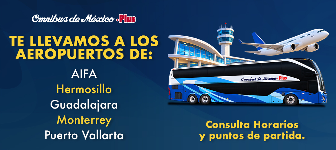 boleto de autobus al aeropuerto de monterrey guadalajara puerto vallarta y hermosillo